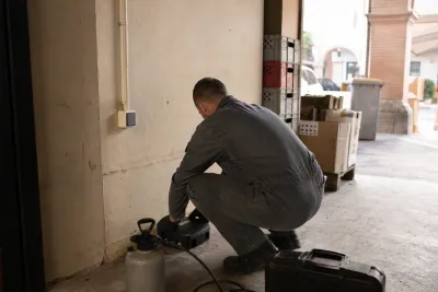 Dératisation à Montauban : station d'appâtage posée dans la réserve d'un commerce sous arcades