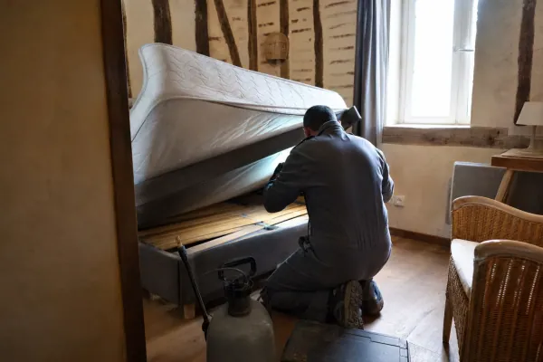 Punaises de lit à Albi : inspection d'un matelas dans un hébergement touristique à pans de bois